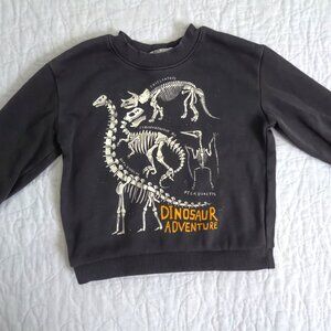 H&M Toddler Dinosaur Crewneck Sweater 2T